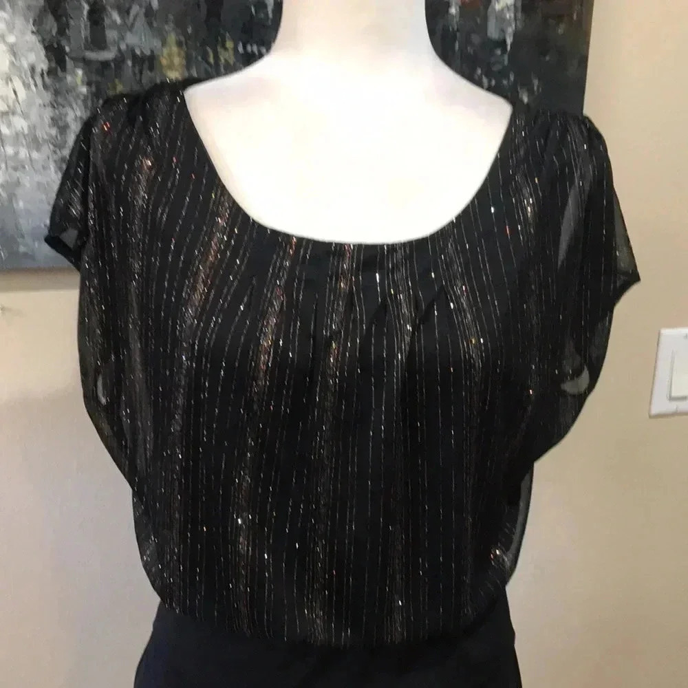 EnFocus Petite Gold/Red Shimmer Sheer Top Dress Pleated Layering Skirt-Size 12P - Picture 5 of 8